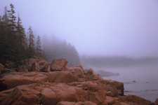acadia06-maine-rocky-coast.jpg (196221 bytes)