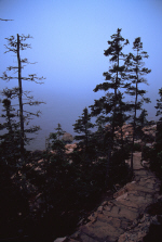 acadia09-path-down-to-water.jpg (252966 bytes)