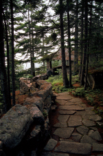 acadia12-path-through-the-woods.jpg (279553 bytes)