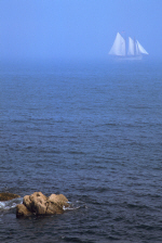 acadia31-foggy-ship.jpg (254117 bytes)