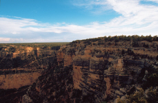 grandcanyon13-rockface.jpg (275805 bytes)
