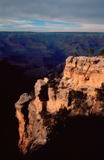 grandcanyon20-bonsai-in-shadows.jpg (251534 bytes)