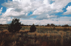 grandcanyon29-arizona-skies.jpg (263972 bytes)