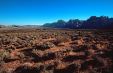 lasvegas-redrock11-spotted-shadows.jpg (344983 bytes)