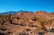 lasvegas-redrock27-distance.jpg (405949 bytes)