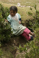 peru089_JFR.jpg