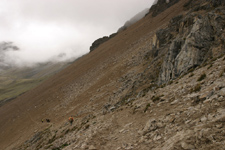 peru217_JFR.jpg