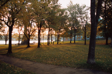 quebec06a-early-morning-tree-shadows.jpg (413391 bytes)