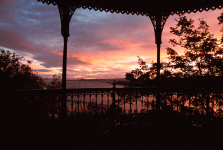 quebec13a-sunrise-bushes.jpg (255685 bytes)