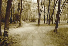 ukraine-kyiv-crossroads.jpg (284353 bytes)